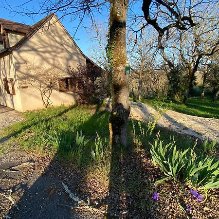Domaine De Gayfie Villa Salvagnac-Cajarc Exteriör bild